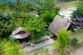 Tropical Jungle lodge & Jungle trekking